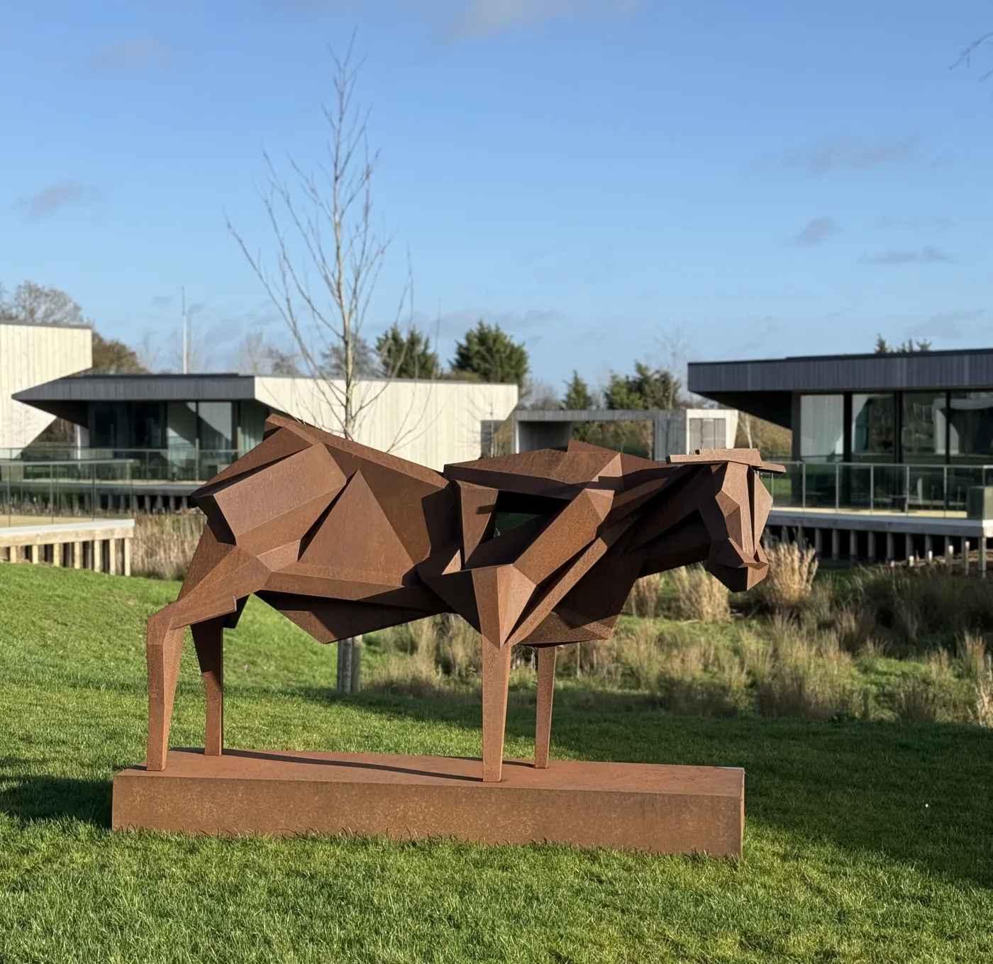 Symphony for the Bull - Peter Walker